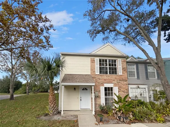 16347 RAMBLING VINE DRIVE W, TAMPA, FL 33624