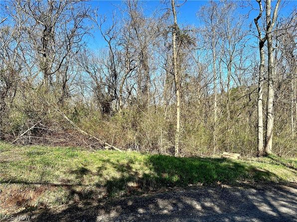 0 Fisher Ridge Rd TRACT 6, Fleming, OH 45729
