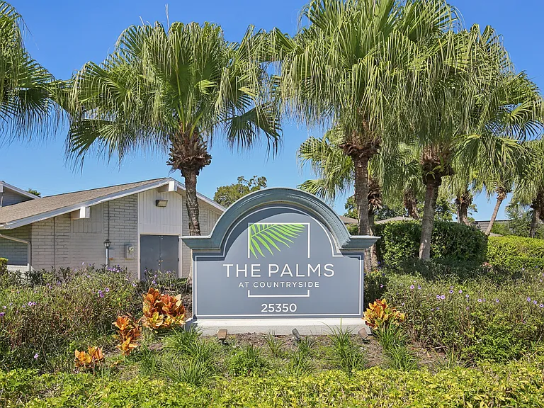 The Palms at Countryside Apartments — Photo 25