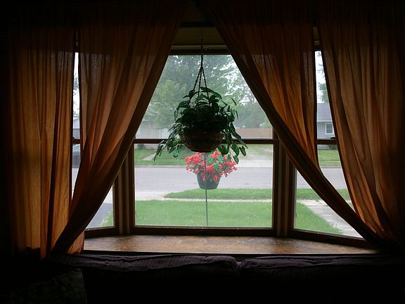 Bay Window!