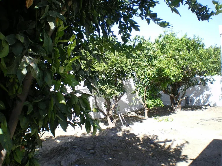 101 San Mateo Cir — Photo 18