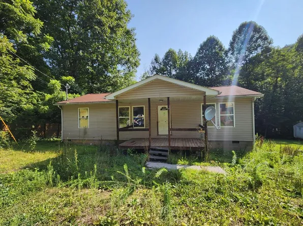 433 Lower Oak Grove Rd, Oceana, WV 24870