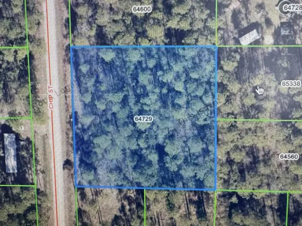 10 & 11 Chip St, Abita Springs, LA 70420
