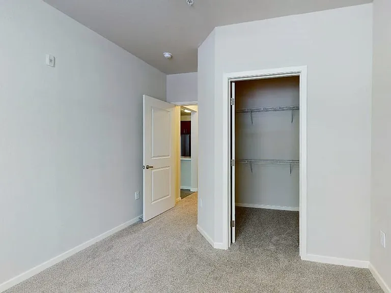 Spacious apartment bedroom with large closet and plush carpet flooring.