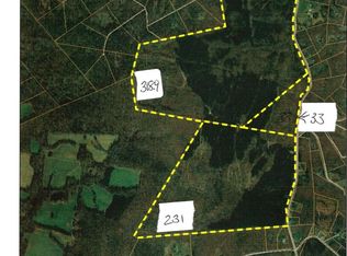 Deep Run Mill Rd, Goldvein, VA 22720