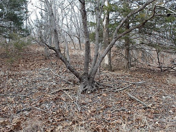 3rd image of Troutdale Rd