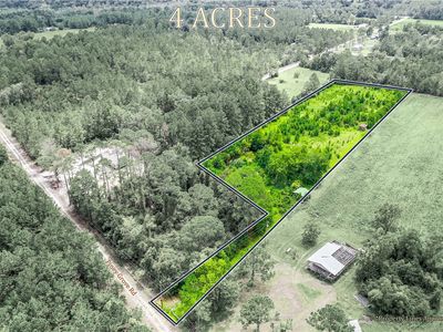 2443 Piney Grove Rd, Blackshear, GA, 31516