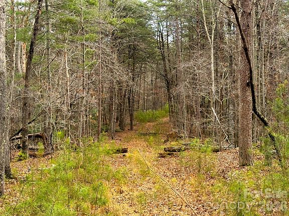 4th image of Lots 4 7 Carmel Rdg