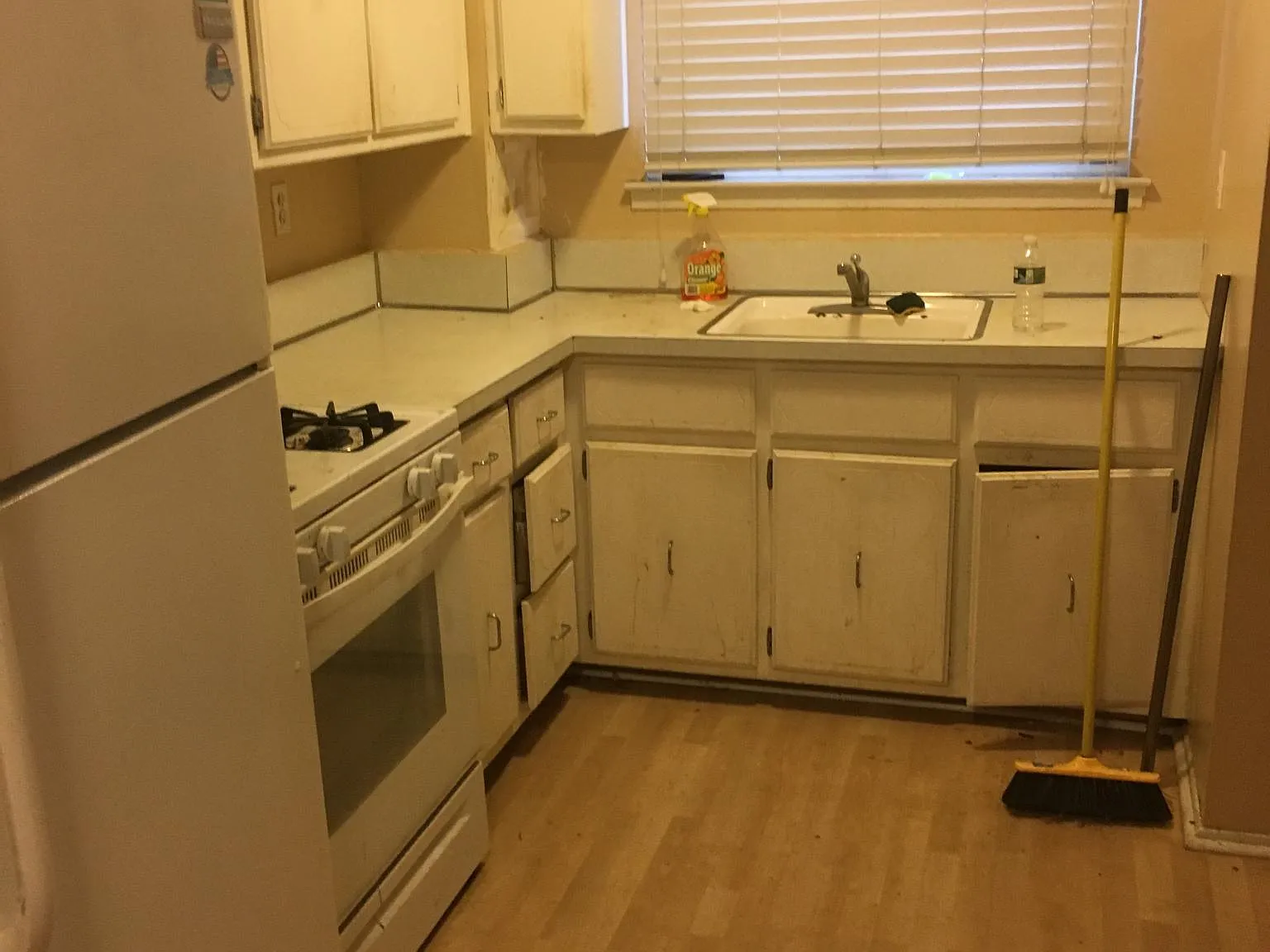 1 bed, 800 sqft, $1,800 — Photo 2