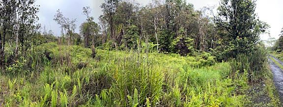 5th image of 18-4196 Mauna Loa Dr Lot 825