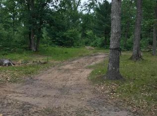 7321 S Nelson Rd, Chase, MI 49623