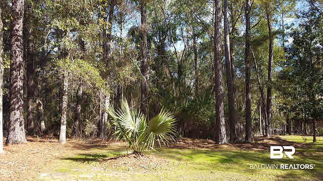 2nd image of 0 Pecanwood Ln