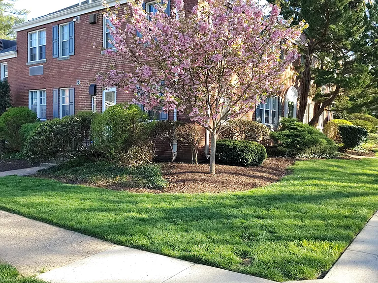 3303 Commonwealth Ave #A — Photo 35
