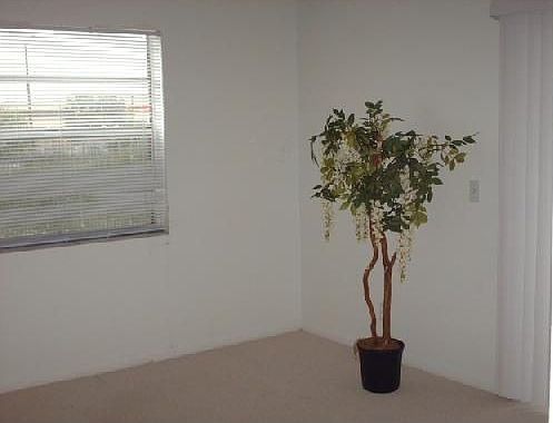 2nd image of 123 Flanders Way #C