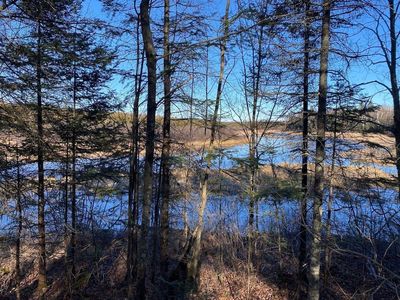 1022 Peshtigo River Rd, Laona, WI, 54541