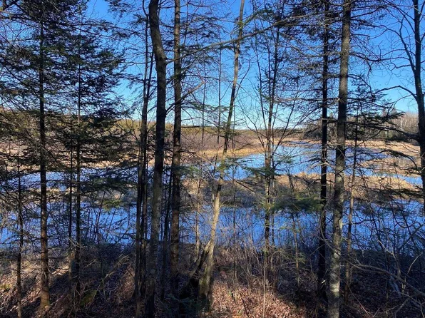 1022 Peshtigo River Rd, Laona, WI 54541