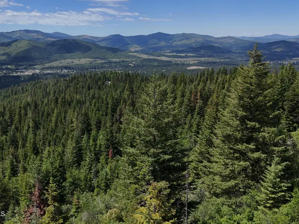 2407 Crystal Peak Rd, Fernwood, ID 83830