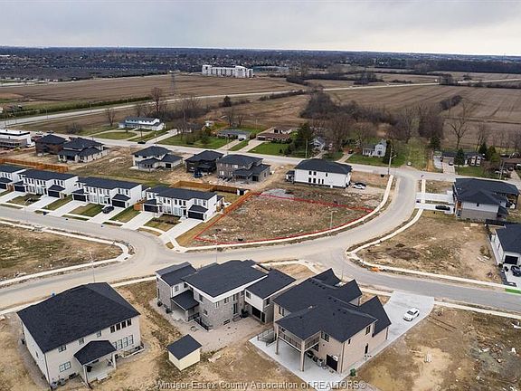 4th image of 4965 Terra Bella Dr