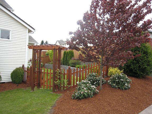 Arbor entry to backyard