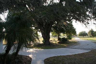 View from front porch