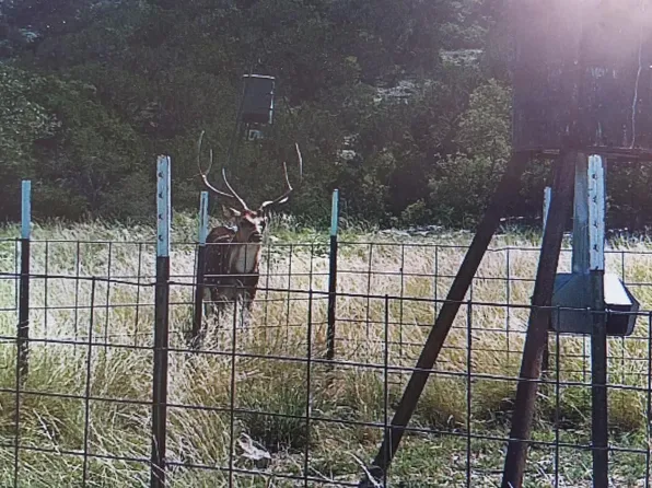 2190 Cr 650, Rocksprings, TX 78880