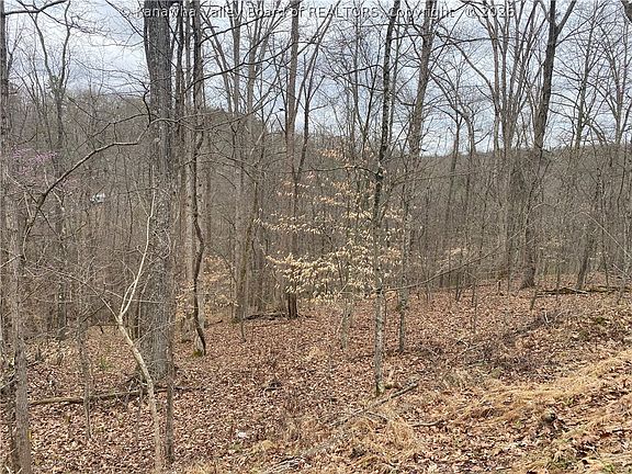 5th image of 701 Tower Rd