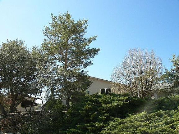 5th image of 743 N Navajo Dr