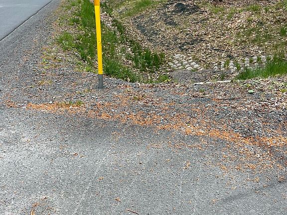 3rd image of Lake Shore Dr #5