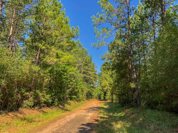 County Road 367, Zavalla, TX 75980