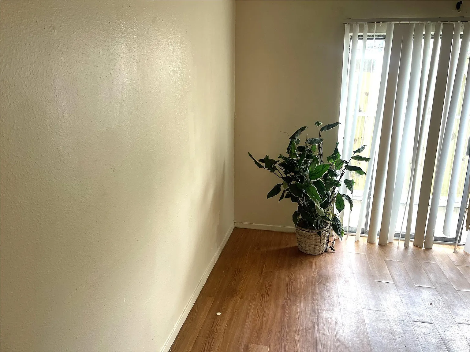 2 bed, 1.0 bath, 1005 sqft, $1,100 — Photo 4