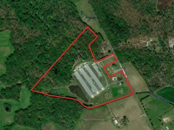 Cool Spring Rd, Marydel, MD 21649