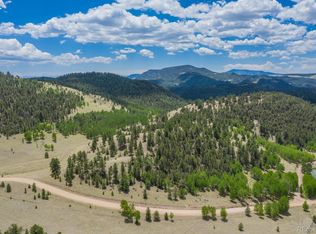 1306 County Road 122, Guffey, CO 80820