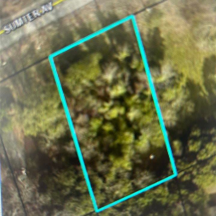 1st image of 431 Sumter Ave