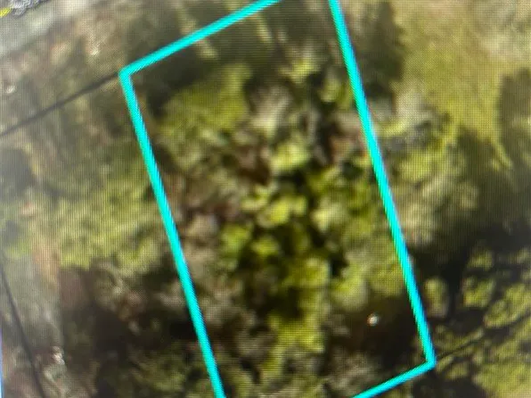 431 Sumter Ave, Hartsville, SC 29550