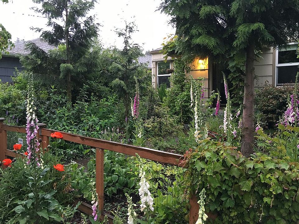 Front yard in spring