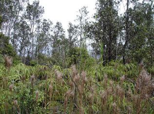 LOT 21, Volcano, HI 96785