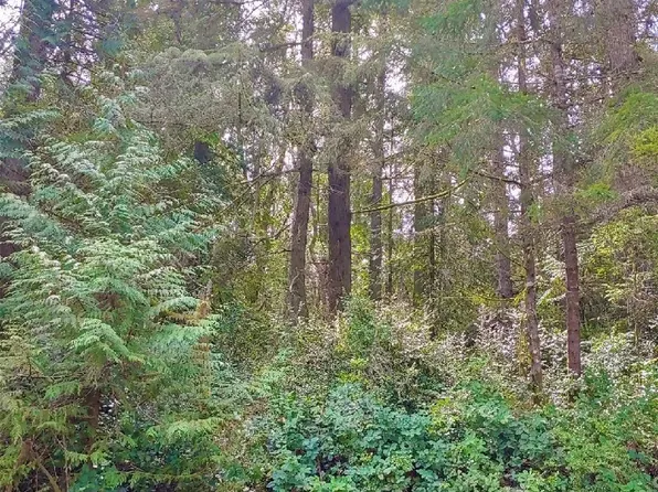 11018 Admiralty Way, Anderson Island, WA 98303