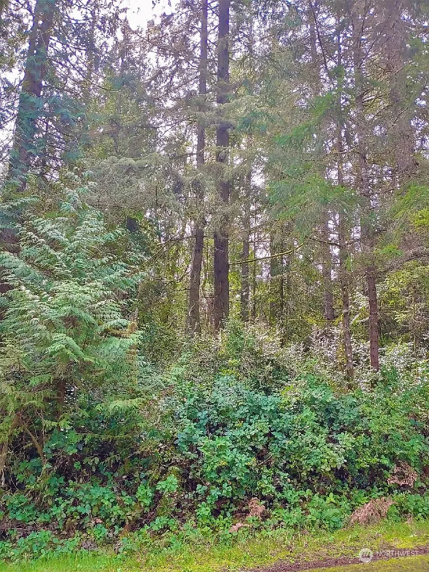11018 Admiralty Way photo 1