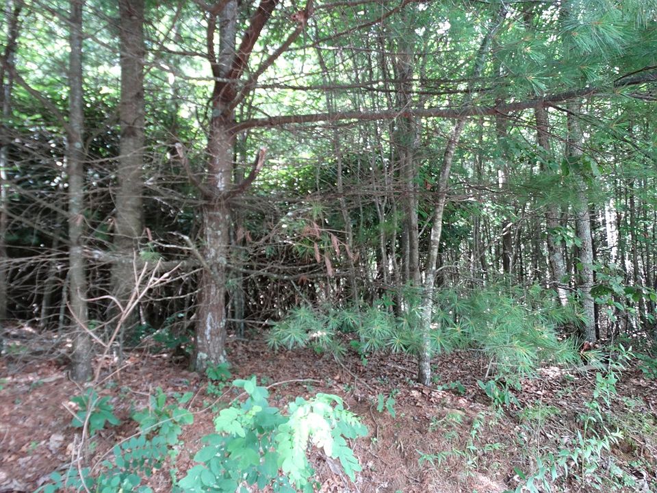 1st image of Tbd Double Bridges Dr