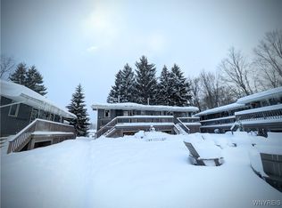 29 Holiville, Ellicottville, NY 14731