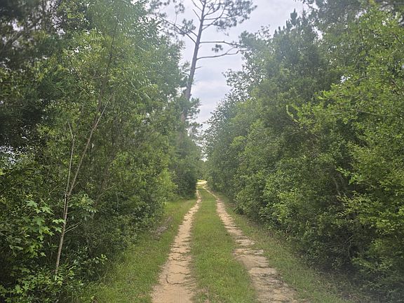 3rd image of 10320 River Alley Rd