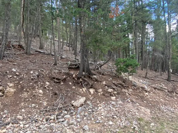 5 Forest View Rd, Cloudcroft, NM 88317