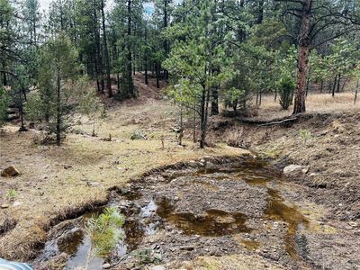 Lot 36 Logging Canyon Road LOT 36, Weston, CO, 81091