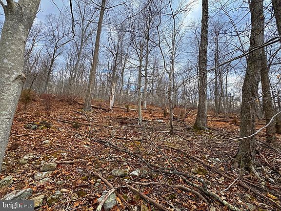2nd image of Frog Hollow Rd