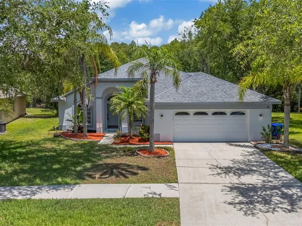 368 Tavernier Cir, Oldsmar, FL 34677