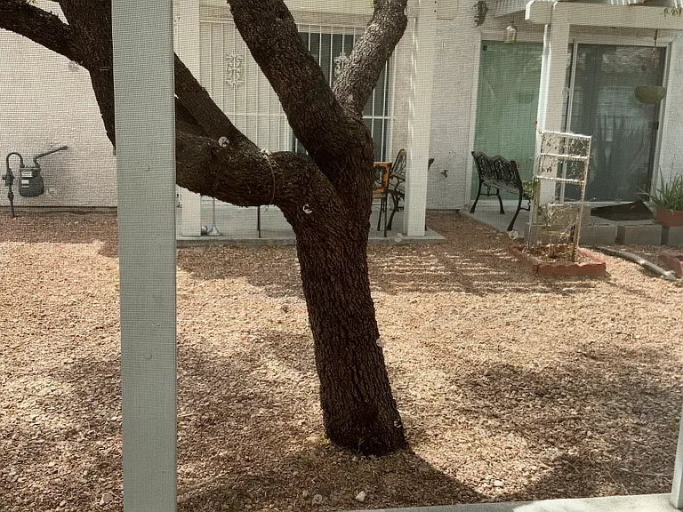 6457 Blue Blossom Ave — Photo 10