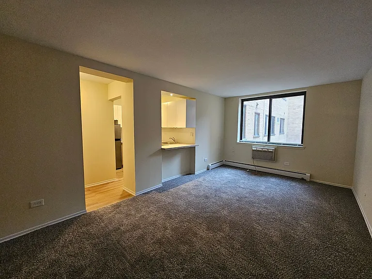 Lincoln Park Living! — Photo 24