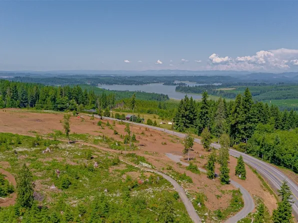 0 Silver Lake Road #9, Castle Rock, WA 98611