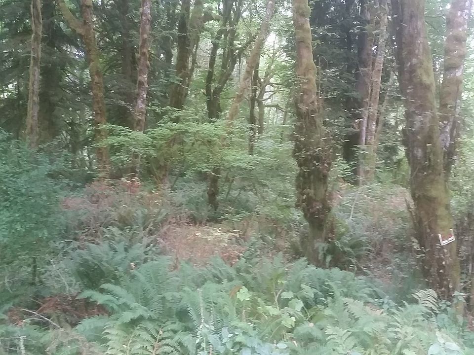 2nd image of 7437 Lewis River Rd