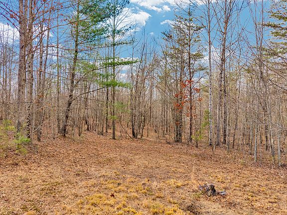 5th image of 0 Soak Creek Ln Lot 11
